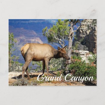 Grand Canyon National Park Arizona United States Postcard by merrydestinations at Zazzle