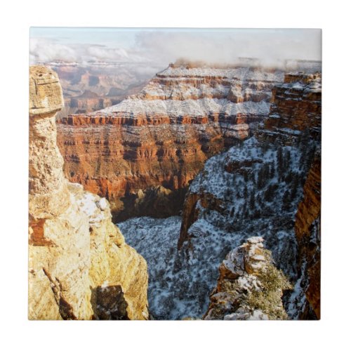 Grand Canyon National Park Arizona USA Tile