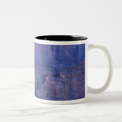 Grand Canyon National Park Arizona USA View Two_Tone Coffee Mug