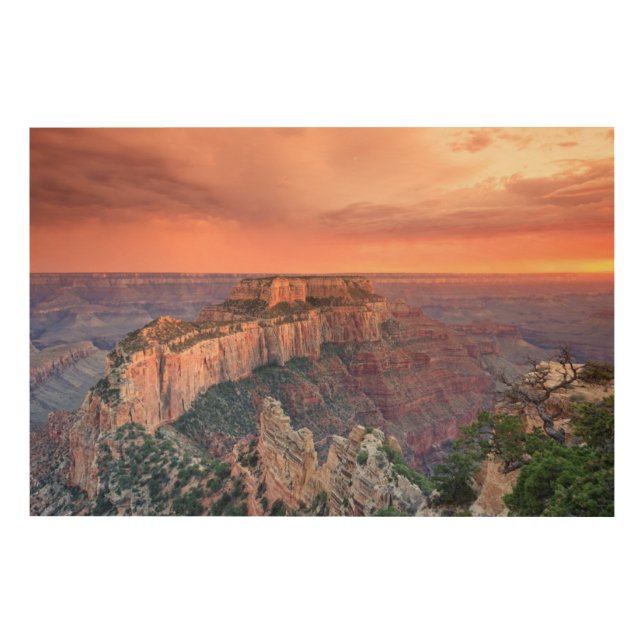 Grand Canyon National Park, Arizona Wood Wall Art (Front)