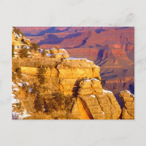 Grand Canyon National Park in Winter Postcard
