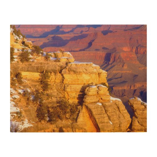 Grand Canyon National Park in Winter Wood Wall Art