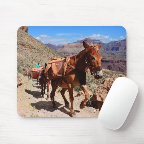 Grand Canyon National Park Mules on Trail Mouse Pad
