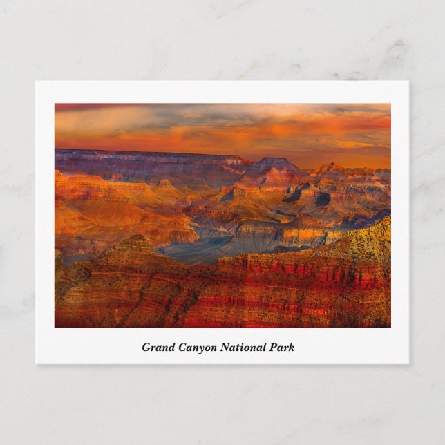 Grand Canyon  National Park Postcard (Front)
