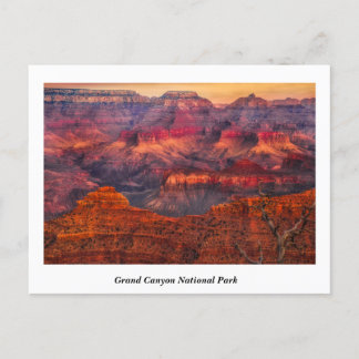 Grand Canyon National Park Postcard