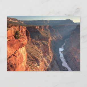 Grand Canyon National Park, USA Postcard
