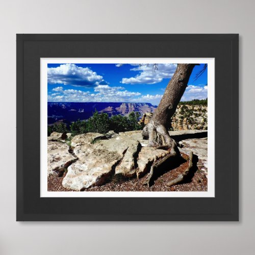 Grand Canyon National Park Viewpoint Photo Framed Art