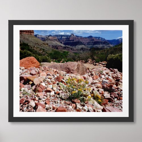 Grand Canyon National Park Wildflowers Framed Art