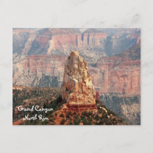 Grand Canyon North Rim Postcard