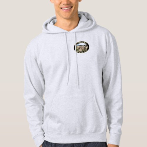 Grand Canyon of the Yellowstone at Yellowstone NP Hoodie