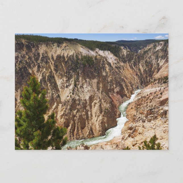 Grand Canyon of the Yellowstone Postcard (Front)