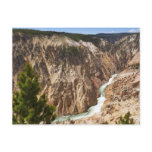 Grand Canyon of the Yellowstone Postcard