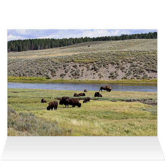 Grand Canyon of the Yellowstone River (Inside Horizontal (Top))