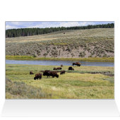 Grand Canyon of the Yellowstone River Cards (Inside Horizontal (Top))