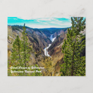 Grand Canyon of Yellowstone Postcard