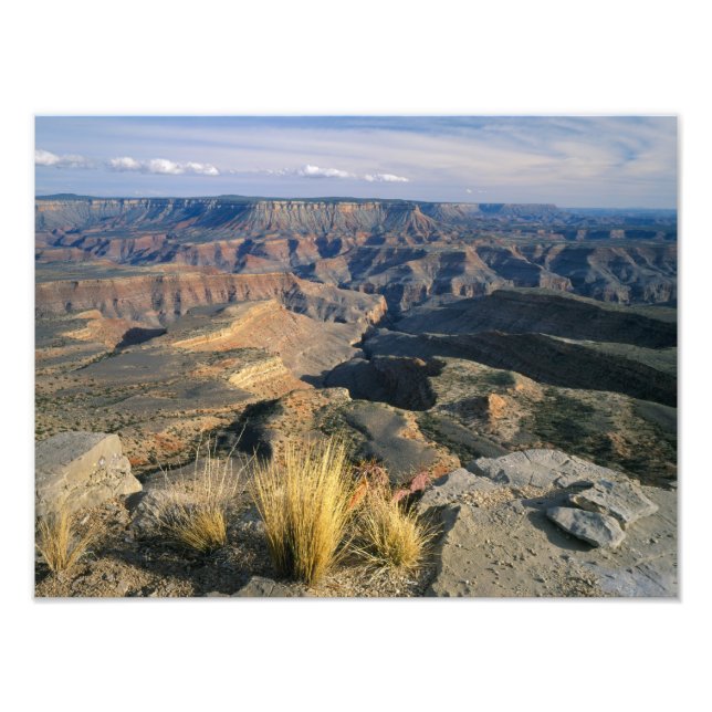 Grand Canyon-Parashant National Monument, 2 Photo Print (Front)