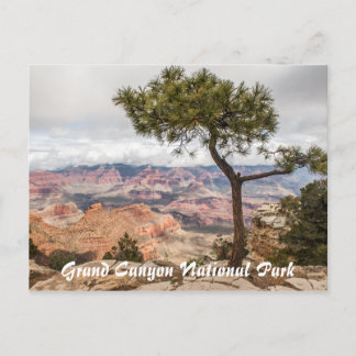 Grand Canyon Postcard