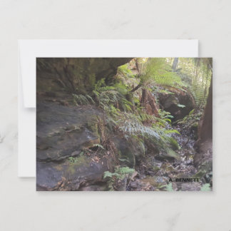 Grand Canyon Postcard