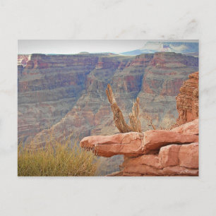 Grand Canyon Postcard