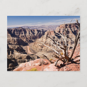 Grand Canyon Postcard