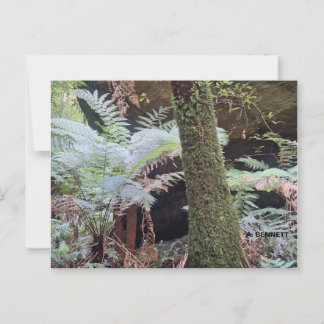 Grand Canyon Postcard