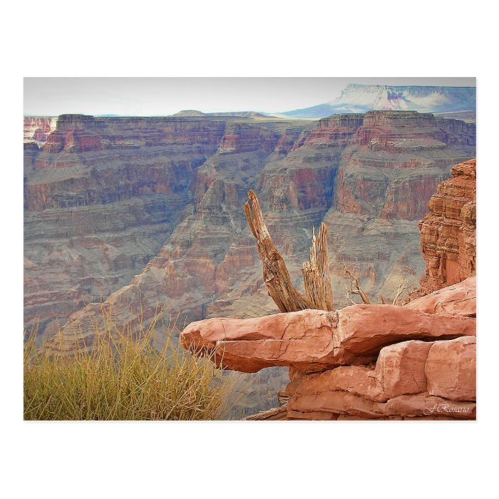 Grand Canyon Postcards