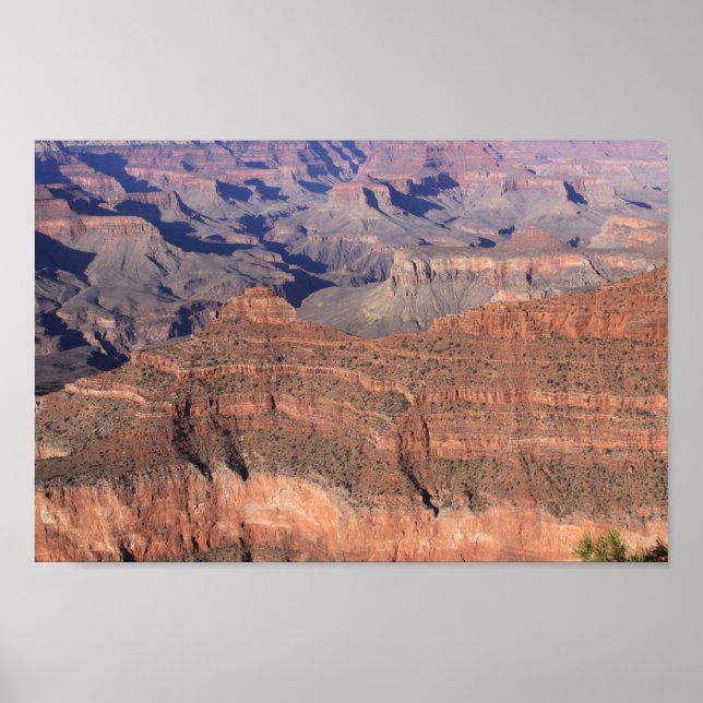 Grand Canyon Posters (Front)