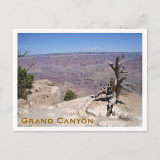 Grand Canyon, South Rim Postcard