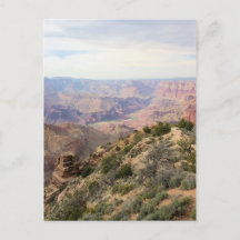 Grand Canyon - South Rim Postcard