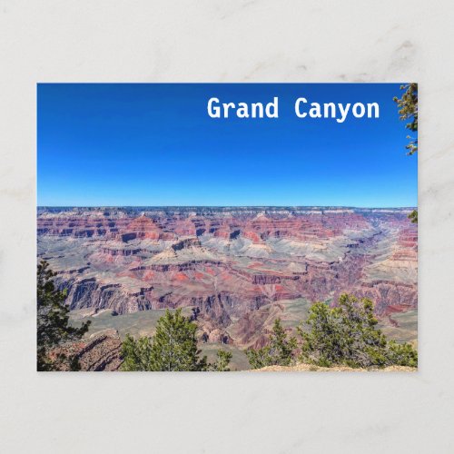 Grand Canyon South Rim  Postcard