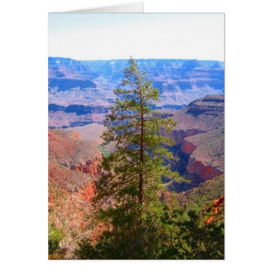 grand canyon tree up cards (Front)