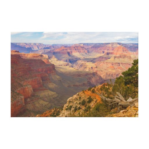 Grand Canyon View Canvas Print | Zazzle