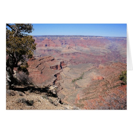 Grand Canyon Views Cards (Front Horizontal)
