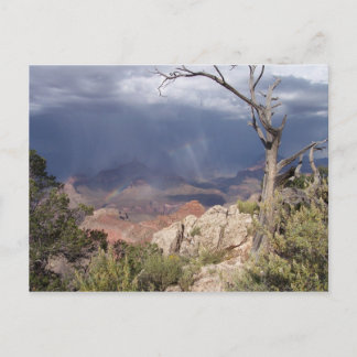 "Grand Canyon Views" Postcard