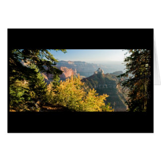 Grand Canyon with a golden birch Cards