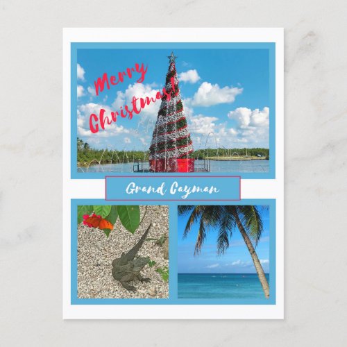 Grand Cayman Christmas Holiday Postcard