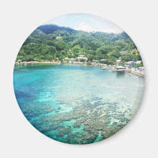 Grand Cayman Coral Reef Magnet