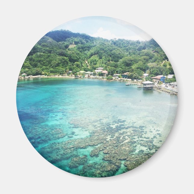 Grand Cayman Coral Reef Magnet (Front)