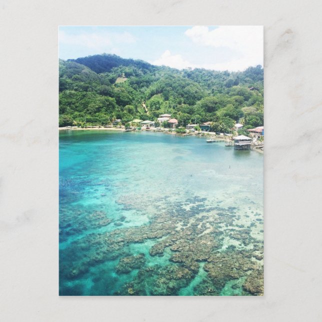 Grand Cayman Coral Reef Postcard (Front)