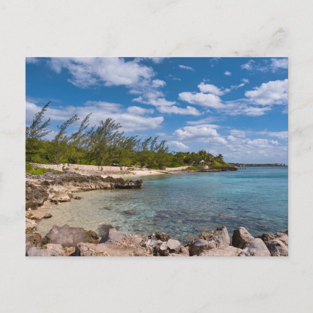 Grand Cayman Island Postcard (Front)