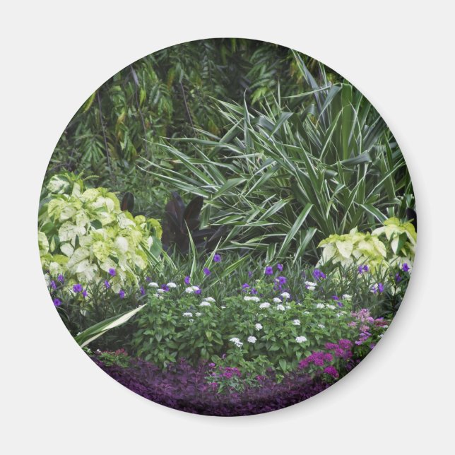 Grand Cayman Islands Magnet (Front)