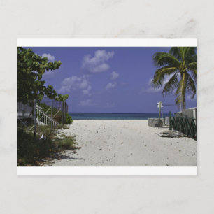 Grand Cayman Islands Postcard