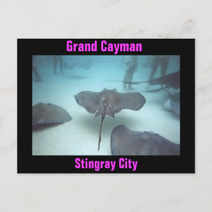 Grand Cayman postcard
