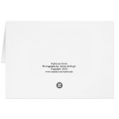 Grand Central Station Cards (Back Horizontal)
