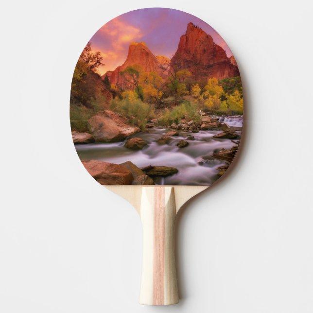 Grand Dawn Ping-Pong Paddle (Front)