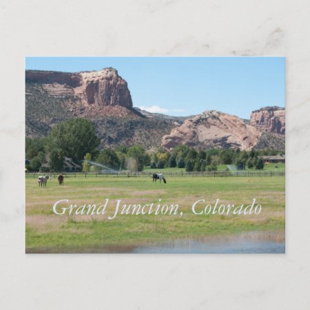 Grand Junction, Colorado Postcard