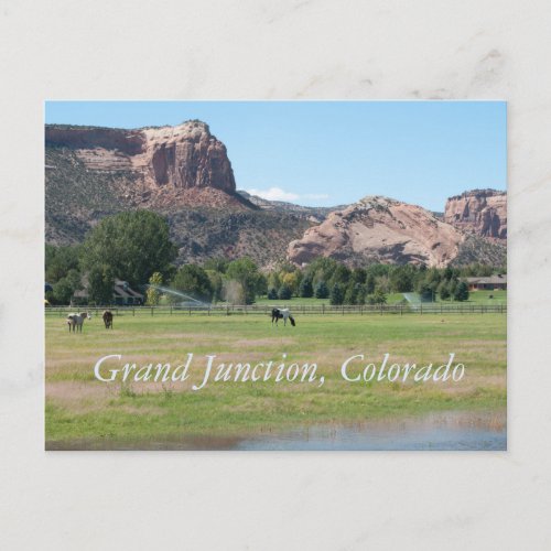 Grand Junction Colorado Postcard