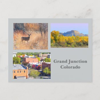 Grand Junction  Colorado Template Travel Postcard by bluerabbit at Zazzle