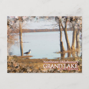 Grand Lake Oklahoma post card egret