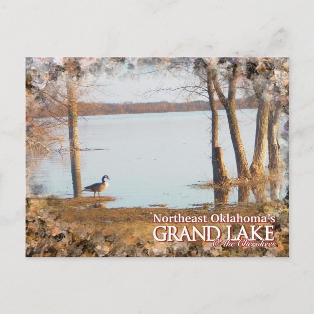 Grand Lake Oklahoma post card egret (Front)